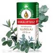 eukaliptusz_illoolaj eukaliptusz_illoolaj