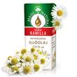 romai_kamilla_illoolaj romai_kamilla_illoolaj