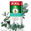 xxl_eukaliptusz_illoolaj xxl_eukaliptusz_illoolaj