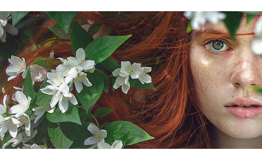 Almaecetes, illóolajos hajöblítés| a bársonyos hajtincsekért