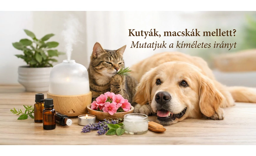 Illóolajok és háziállatok – tudatos, kíméletes alapok