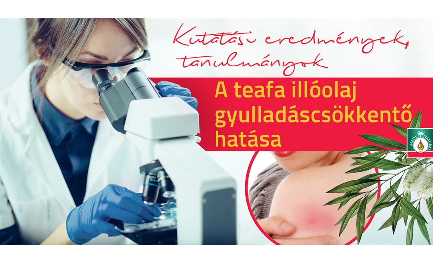 Kutatás | A teafa illóolaj gyulladáscsökkentő hatása 
