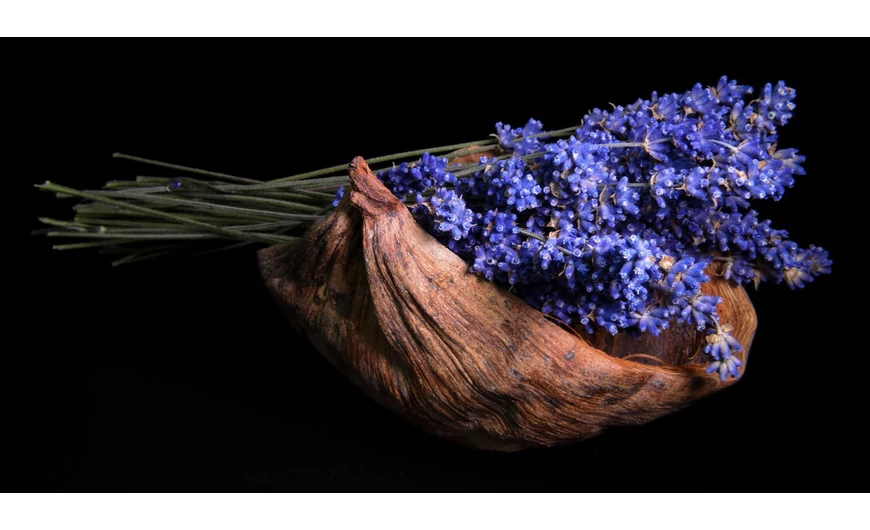 A levendula olaj 15 bizonyítottan kedvező élettani hatása, amit te sem tudtál