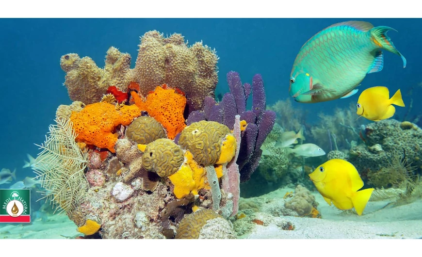 Hialuronsav: a leghatékonyabb ránctalanító összetevő!