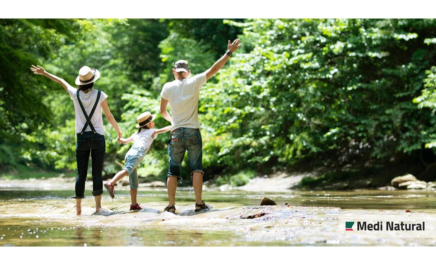 Hogyan tartsuk távol a szúnyogokat, a kullancsokat és a kellemetlen rovarokat?